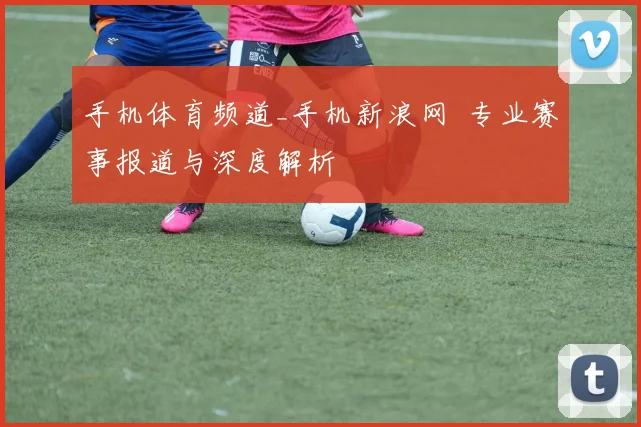 手机体育频道_手机新浪网 专业赛事报道与深度解析