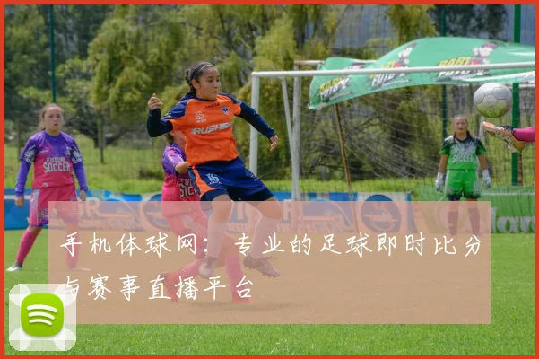 手机体球网：专业的足球即时比分与赛事直播平台