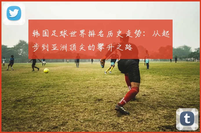 韩国足球世界排名历史走势:从起步到亚洲顶尖的攀升之路