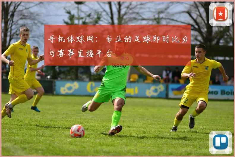 手机体球网：专业的足球即时比分与赛事直播平台