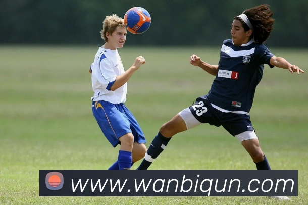 开云手机网页登录网页平台生态图